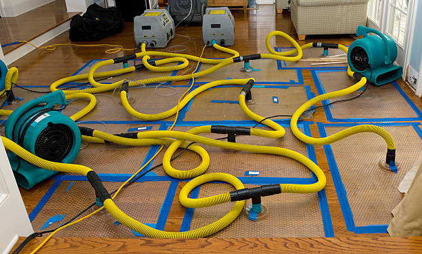 Professional Flood Damage Restoration technician working in Austinburg, OH